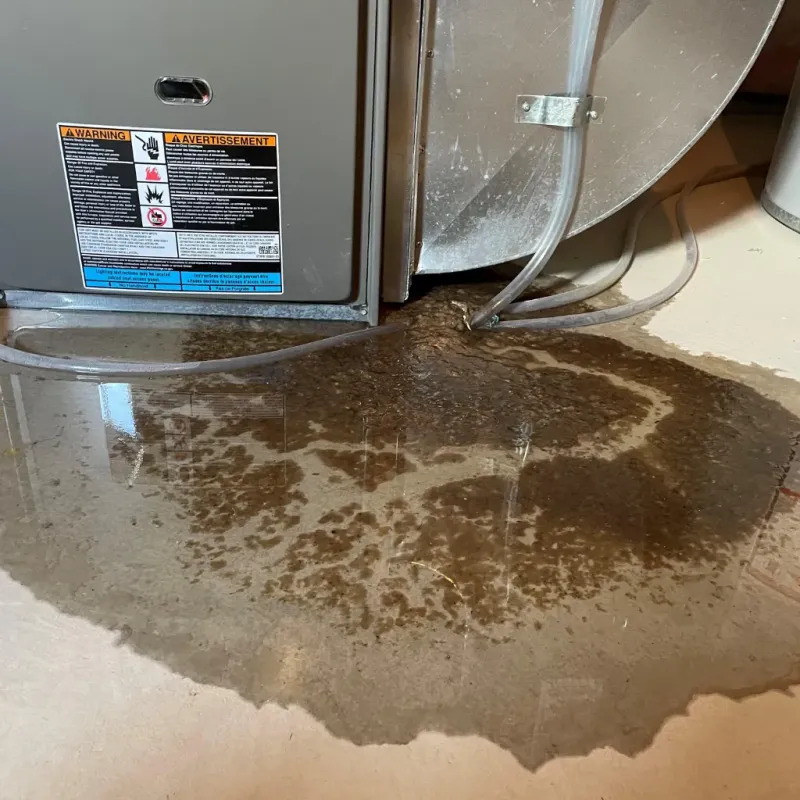 Appliance Leak Cleanup in Spokane, WA